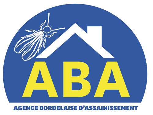 TRAITEMENT TERMITES BORDEAUX